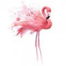 Розовый Фламинго